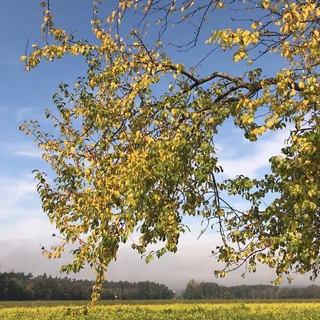 Daire Im Herzen Der Holledau