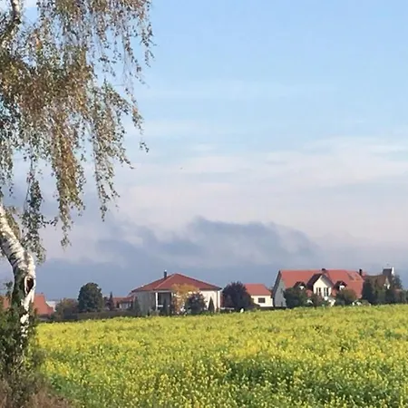 Daire Im Herzen Der Holledau